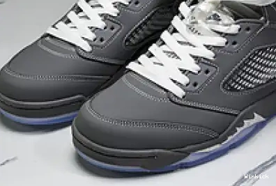 'Wolf Retro Grey' 136027-005 Jordan 5 0706